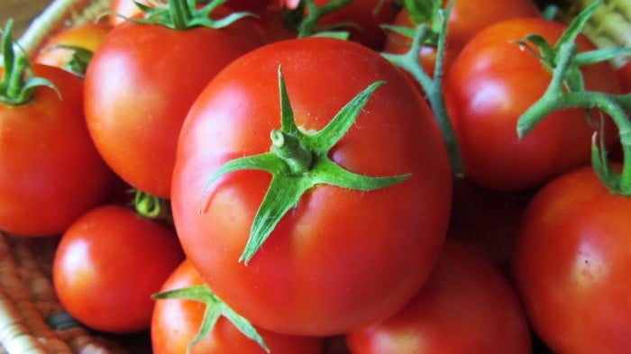 Banyak orang mengonsumsi tomat hanya untuk membuat makanan lebih nikmat. Tetapi ternyata kandungannya punya banyak khasiat.