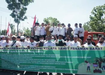 Asosiasi Petani Kelapa Sawit Pasbar Sampaikan Tuntutan ke Pemerintah Terkait Anjloknya Harga TBS