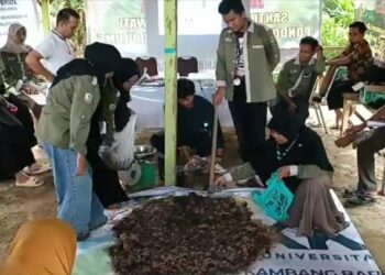 Mahasiswa KKN Unand Unjuk Pengolahan Kotoran Sapi sebagai Pupuk Organik Kompos kepada Masyarakat